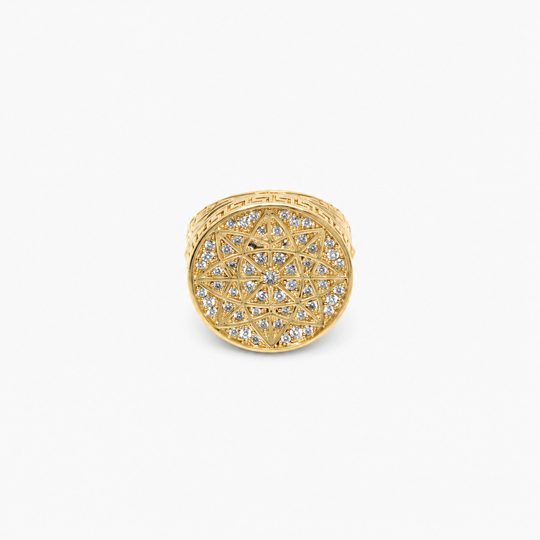 Anillo de Hombre Redondo con Diseño Geométrico 10K Daisy Joyeria