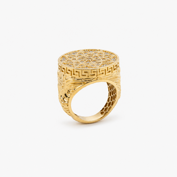 Anillo de Hombre Redondo con Piedras Brillantes 10K Daisy Joyeria